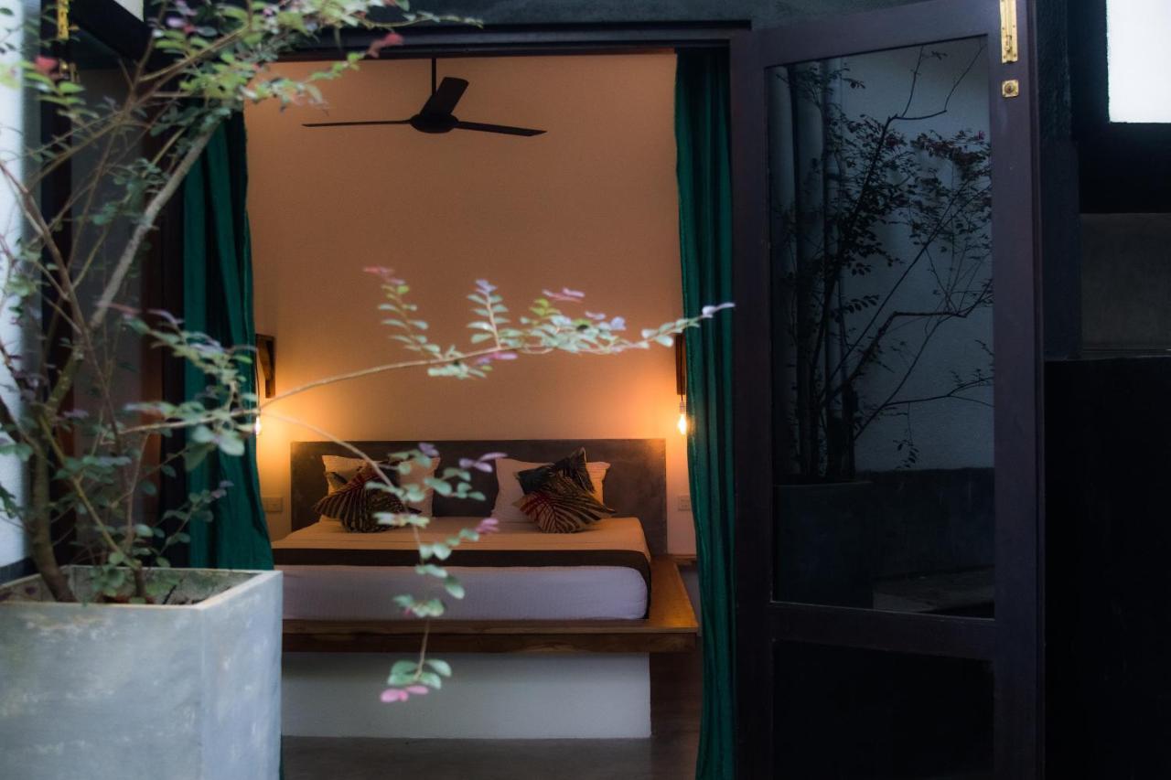 Serene Villa Dikwella Ngoại thất bức ảnh